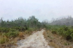 JW2018-033_Friol
